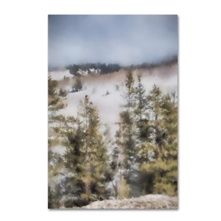 TRADEMARK FINE ART Jai Johnson 'Winter Impressions In Colorado 3' Canvas Art, 30x47 ALI14909-C3047GG